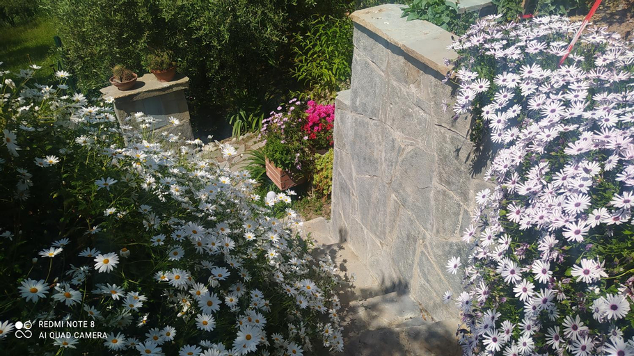 Exterior & Views 4, L'Uliveto, La Spezia