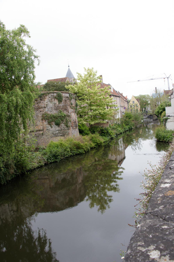 Others 5, LE NID DU PRINCE, West-Vlaanderen