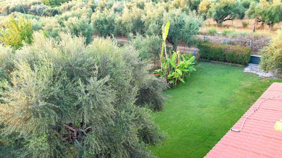 Others 4, Wonderful Spot to Recharge, Peloponnese