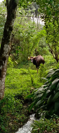 Scenery 6