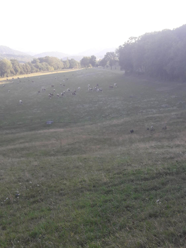 Others 3, Au Doubs Repos, Doubs