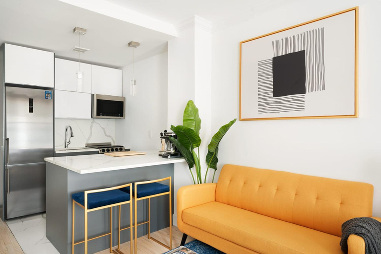 Others 4, 1597-7 Luxury Upper East Studio W&D in unit, New York