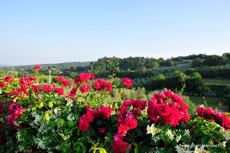 Others 5, Agriturismo Il Sasso, Siena