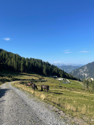 Others 2, Gastezimmer Peterbauer, Sankt Johann im Pongau