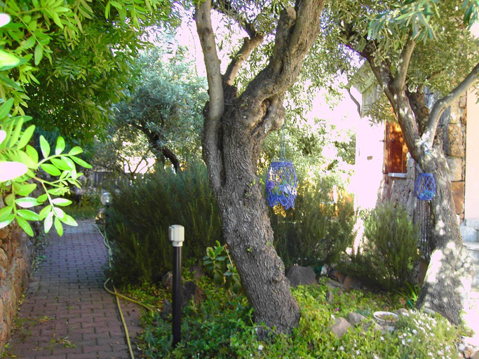 Others 4, Secret Garden, Nuoro