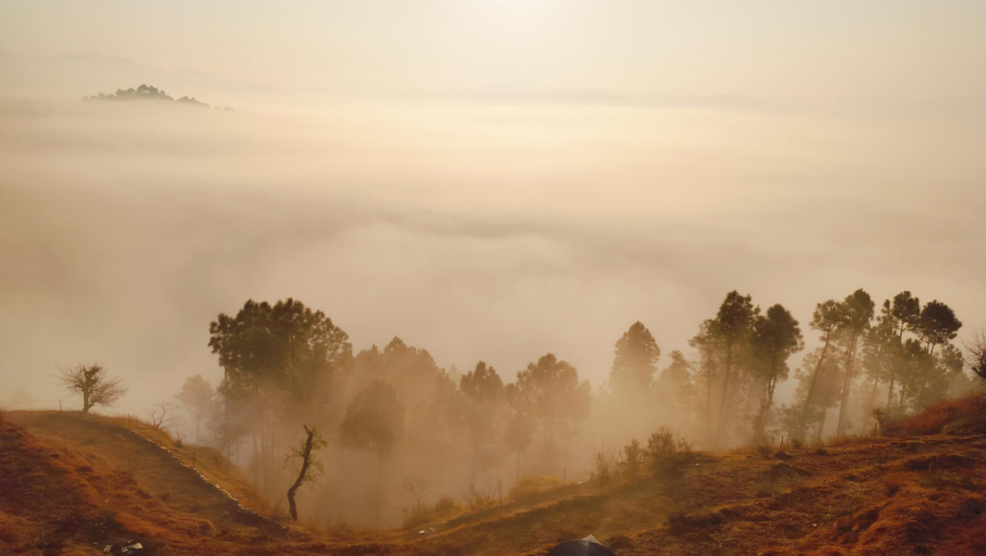 Others 4, Adaara Retreat - Pet Friendly Cottages, Almora