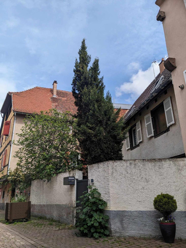 Gite du Figuier 4 a 6 personnes Selestat Centre-Alsace, Bas-Rhin
