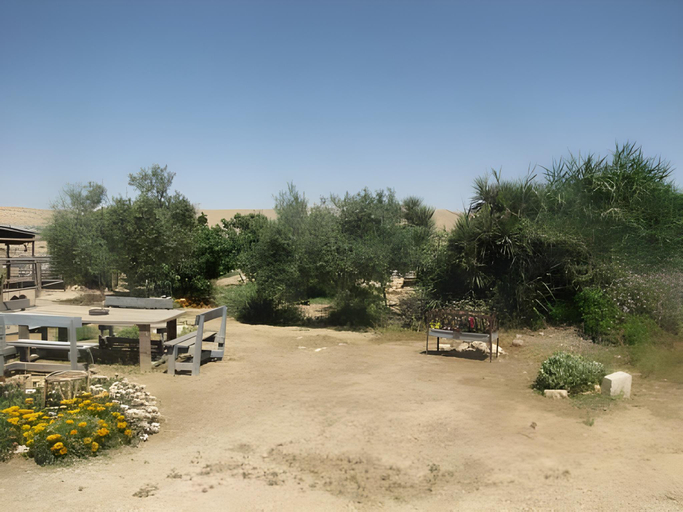 Others 5, Succah in the Desert