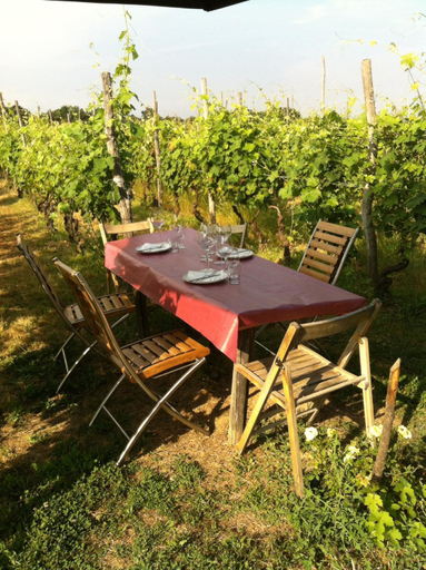 Food & Drinks 5, Cascina La Maddalena Bed & Wine, Alessandria