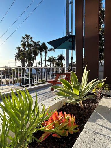 Exterior & Views 2, West Coast Surf and Stay, Orange