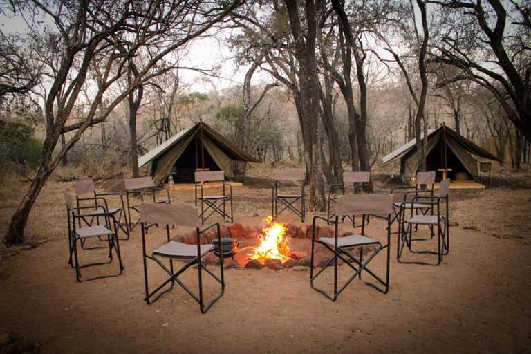 Others 5, Somkhanda Game Reserve, Zululand
