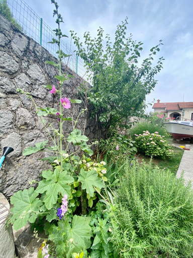 Others 5, Apartman Mira, Opatija/Veprinac