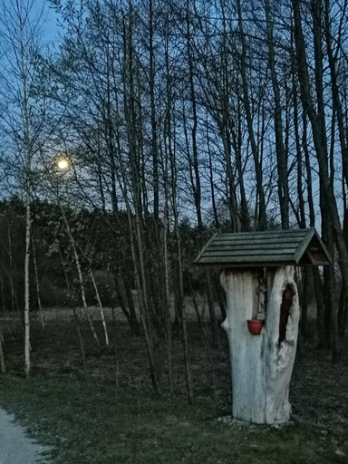 Others 5, Lesny Dwor Uhowo, Białystok