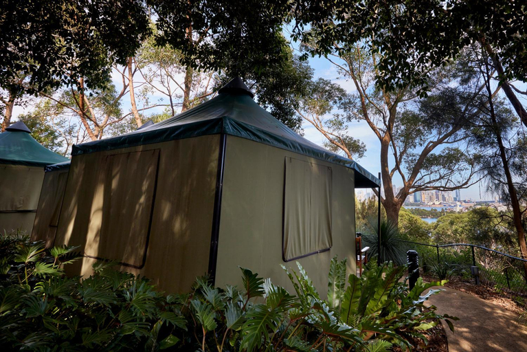 Roar And Snore, Mosman