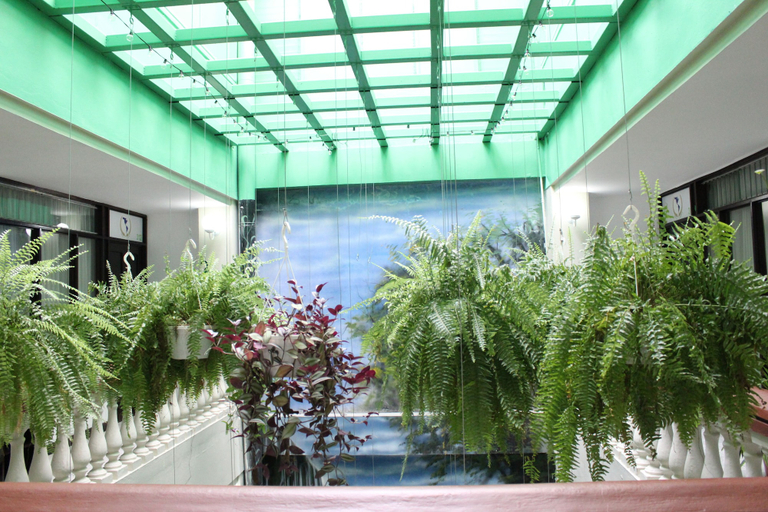 Exterior & Views 2, Hotel América, Heredia