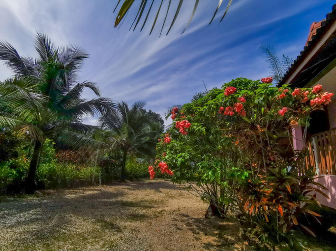 Others 3, Chomjan resort, Chaiya