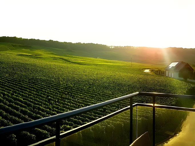 Others 5, Dans Les Vignes, Marne