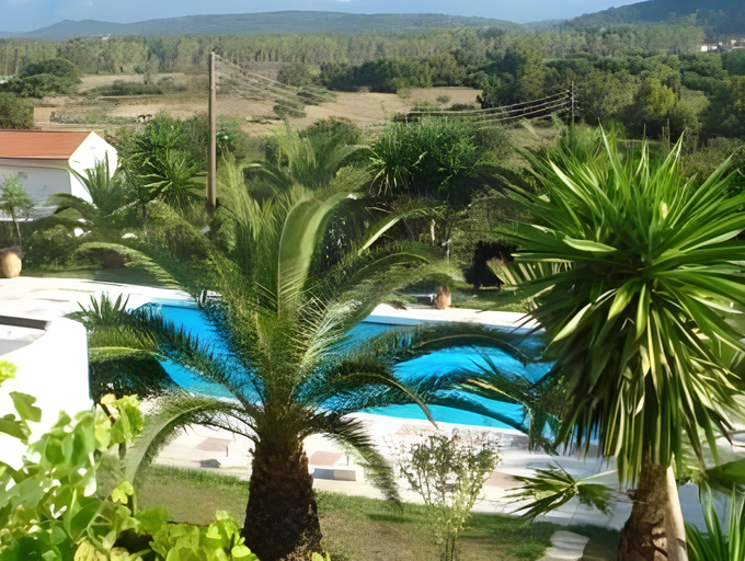 Others 5, The Palm Garden, Ionian Islands