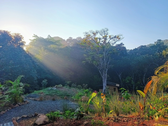 Others 5, Thoas Lodge, Osa