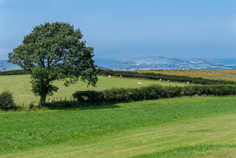 Others 2, Waenfechan Glamping with Hot Tubs, Conwy