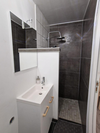Bathroom 2, appartement cosy en centre ville avec terrasse, Rhône