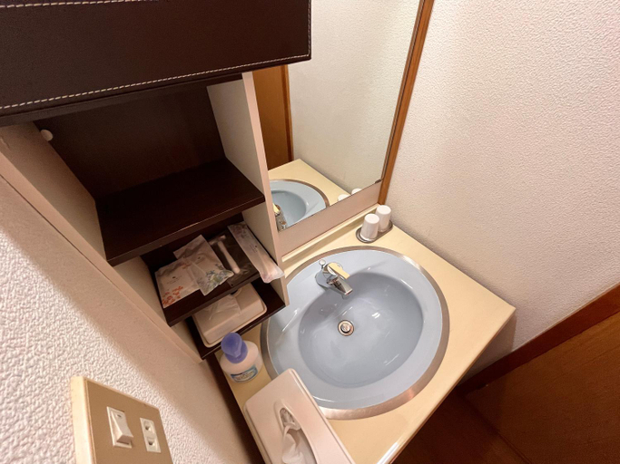 Bathroom 2, 丸山鉱泉旅館, Yokoze