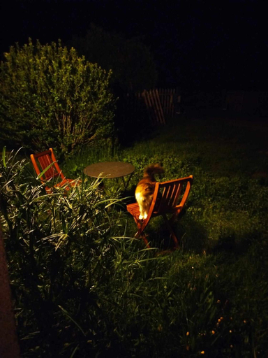 Others 2, Gite des Fours, Allier