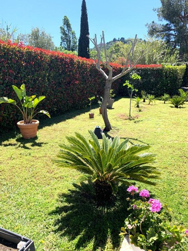 Others