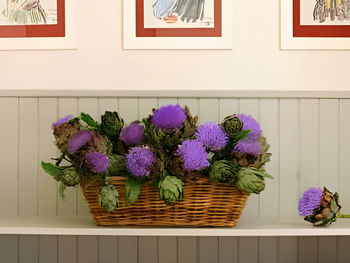 Others 5, Hotel du Centre - Chez Janie, Finistère