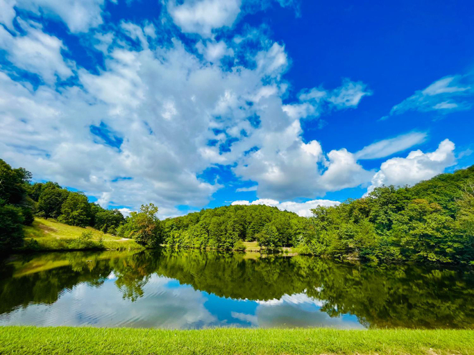 Others 5, Cinnamon Valley, Carroll
