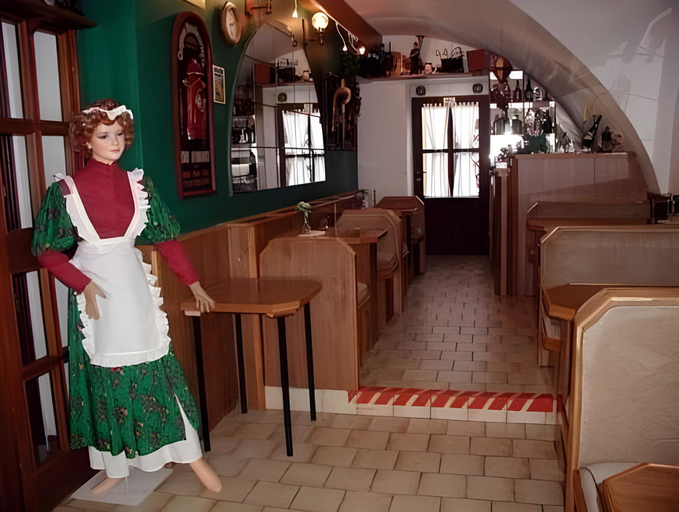 Food & Drinks 4, Penzion U Holubu Novy Jicin, Nový Jičín