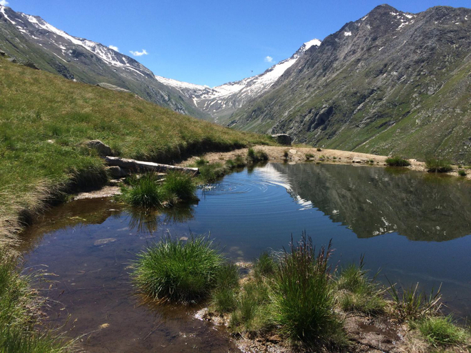 Others 5, Chalet Sunstar, Visp