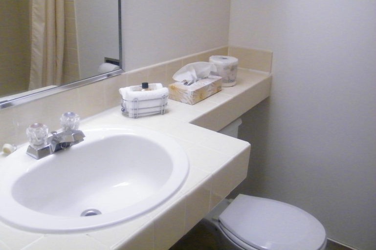 Bathroom 4, Mount Peyton Resort and Conference Centre, Division No. 6
