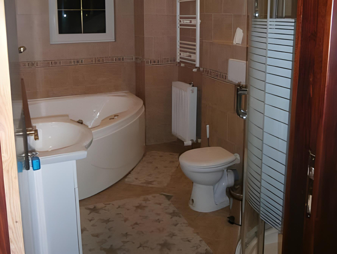 Bathroom 2, Pensiunea Veronica, Campulung Moldovenesc