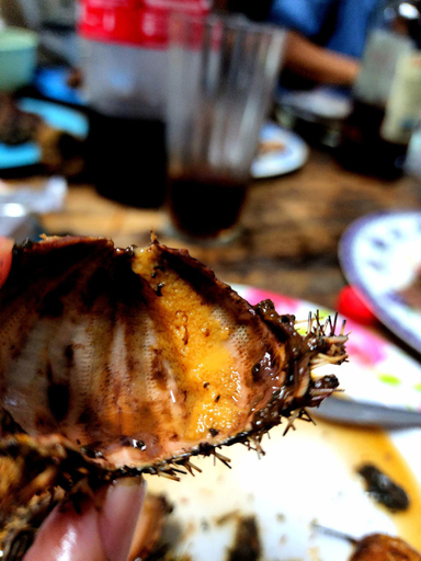 Food & Drinks, Pariir Beach House WIFI, overlooking Immuki Island, Balaoan