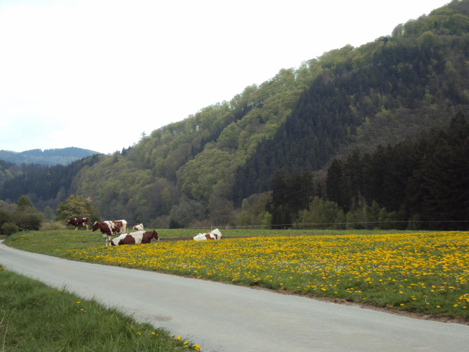 Others 3, Gasthof Zum Diemeltal, Hochsauerlandkreis