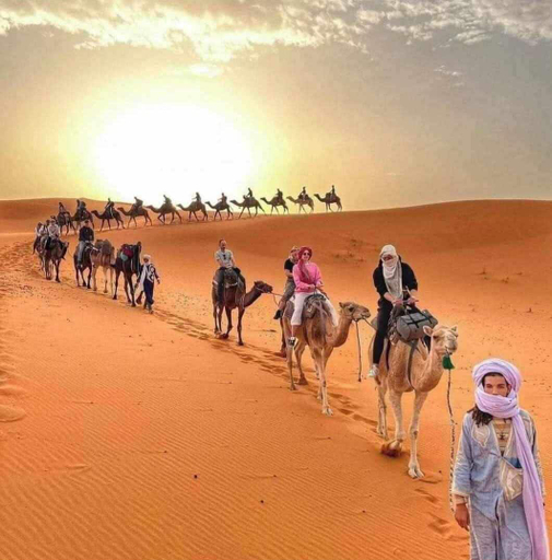 Others 2, Overnight Camp Merzouga & Camel Tours, Errachidia