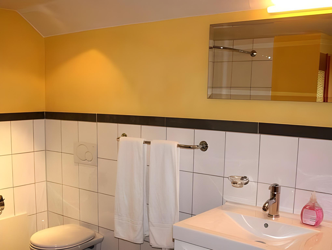 Bathroom 3, Bett am Weiher, Wil