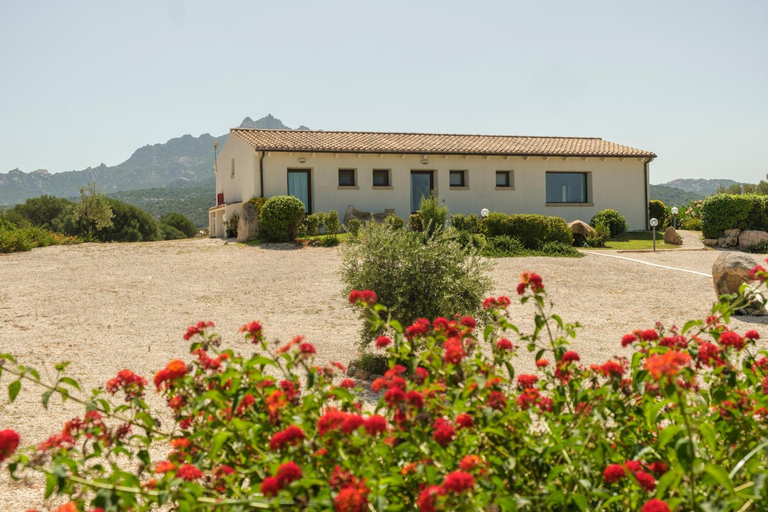 Others 3, B&B Terra e Smeralda, Olbia-Tempio