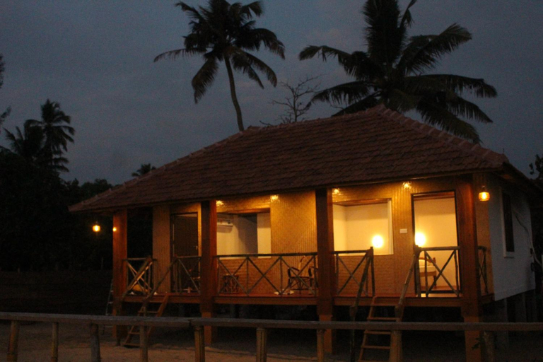 Exterior 5
