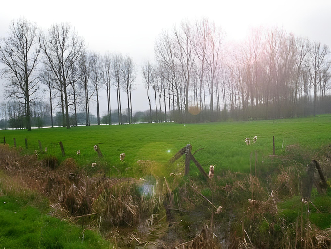 Others 2, B&B Goudsbloempje, Oost-Vlaanderen