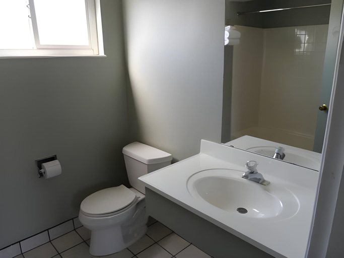 Bathroom 2, Economy Inn, Stanislaus