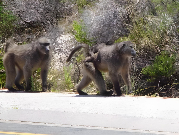 Others 4, Jack's Seaview Inn, Overberg