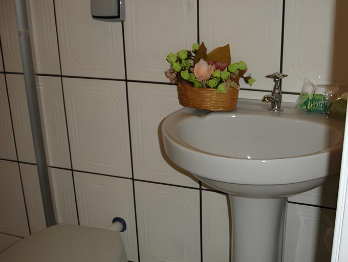 Bathroom, Pousada Alvorada Brotas - e agendamento das atividades turisticas, Brotas