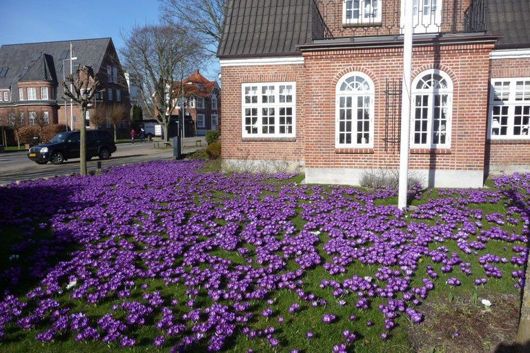Others 4, Stor lejlighed midt i Sønderborg by., Sønderborg