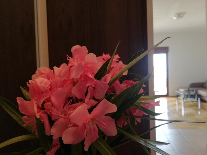 Others 3, Apartment Anatolia of Becici