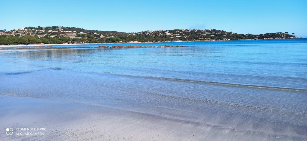 2, ARCA C14, Corse-du-Sud