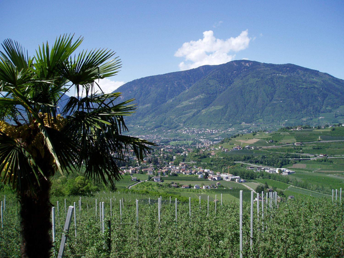 Others 5, Appartements Dornach, Bolzano