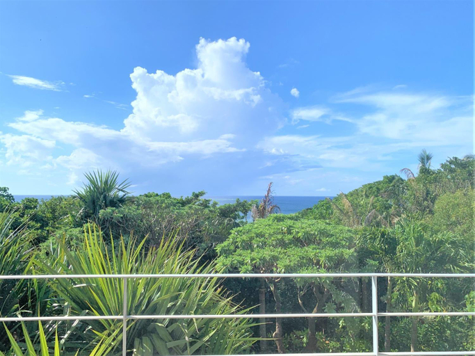 Others 5, Blue cave Blue in Green - Vacation STAY 31651v, Ishigaki