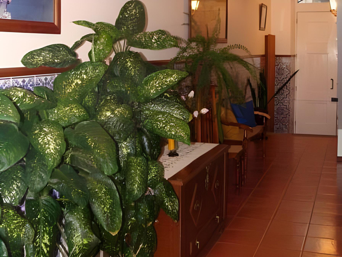 Others 5, Apartamentos Sao Joao, Horta